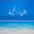 Ocean Magicians