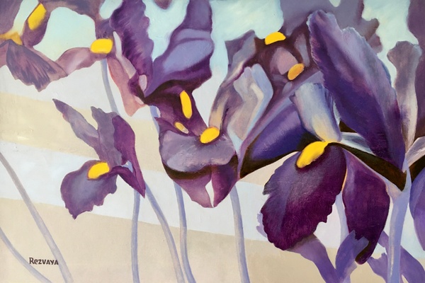 Nostalgi. Irises