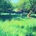 May orchard