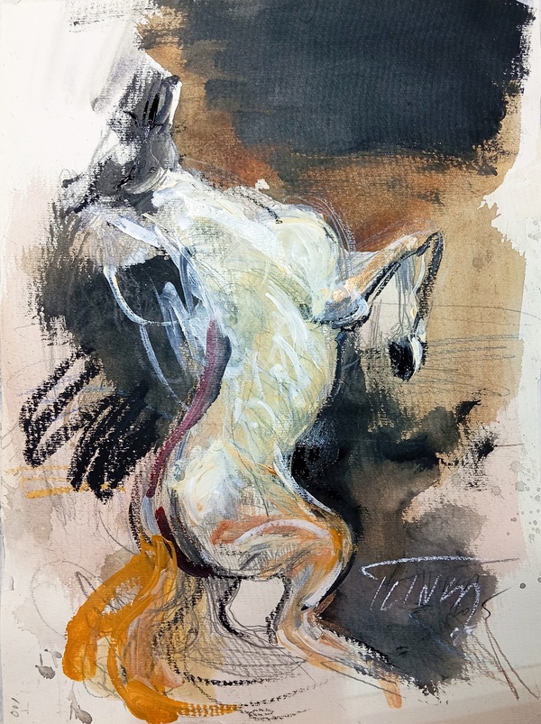 Jumping Stallion (study)