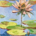 Lily Pond Landscape. Water Lilies Pad