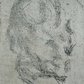 Portrait of an Old Man