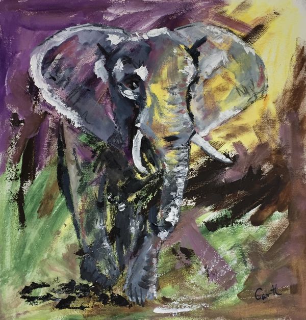 African Grey Elephant