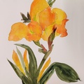 Yellow Irises