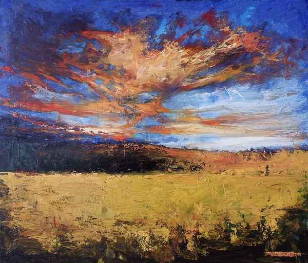 Sunset Over a Field