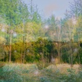 I heard the woodland murmurs like a hymn