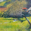 In the Quiet Orchard
