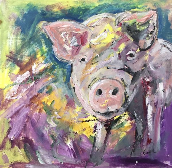 Oscar The Pig