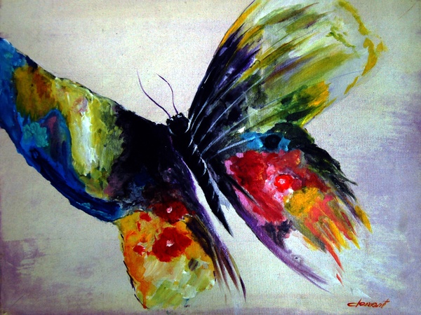 AN22-Colourful Butterfly