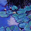 Summer Water Lilies