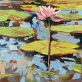 Lily Pond Landscape
