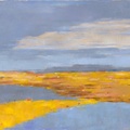 Blooming Fields 1