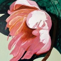 A Flower