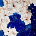 Blue and White Flowers