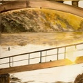 Landscape in Warm Tones