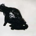 The Black Cat 3