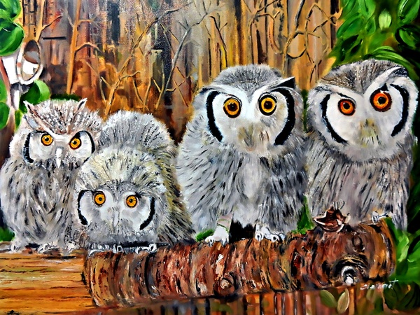 AN15-Family of Four Snow Owls
