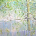 The Mother Tree