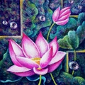 Pink Lotuses