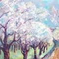 When Clouds Fall to Earth: Orchards of L'Empordà