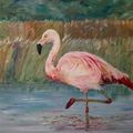 Pink Flamingo on the Muga River