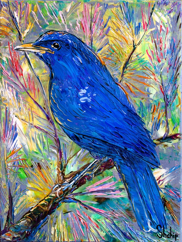 Blue Bird In Colorful Pines