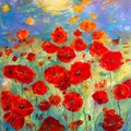 Poppies Under the Sun
