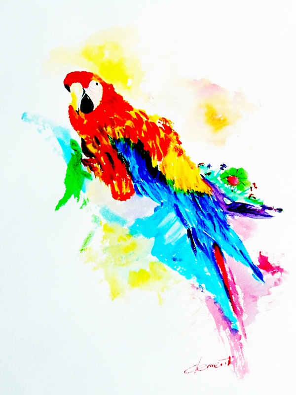 AN34-The Parrot