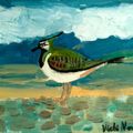 Lapwing