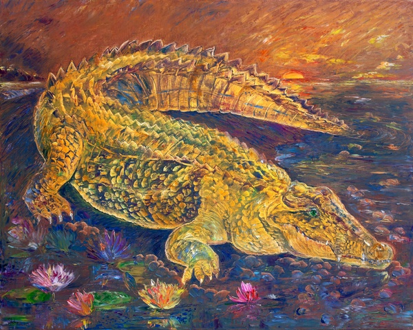 Crocodile at Dusk