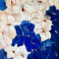 Blue and White Flowers