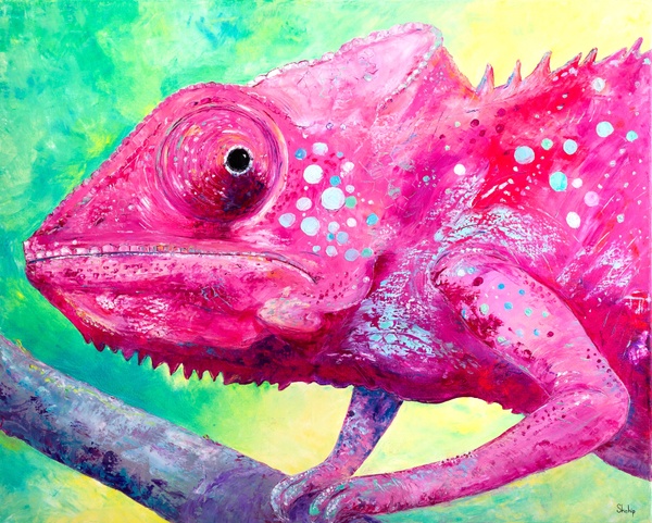 Pink Chameleon