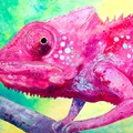 Pink Chameleon