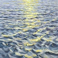 Light on the water 6