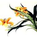 CF-Orange Flower