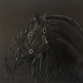 Black Velvet