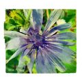 Blue Chicory Flower